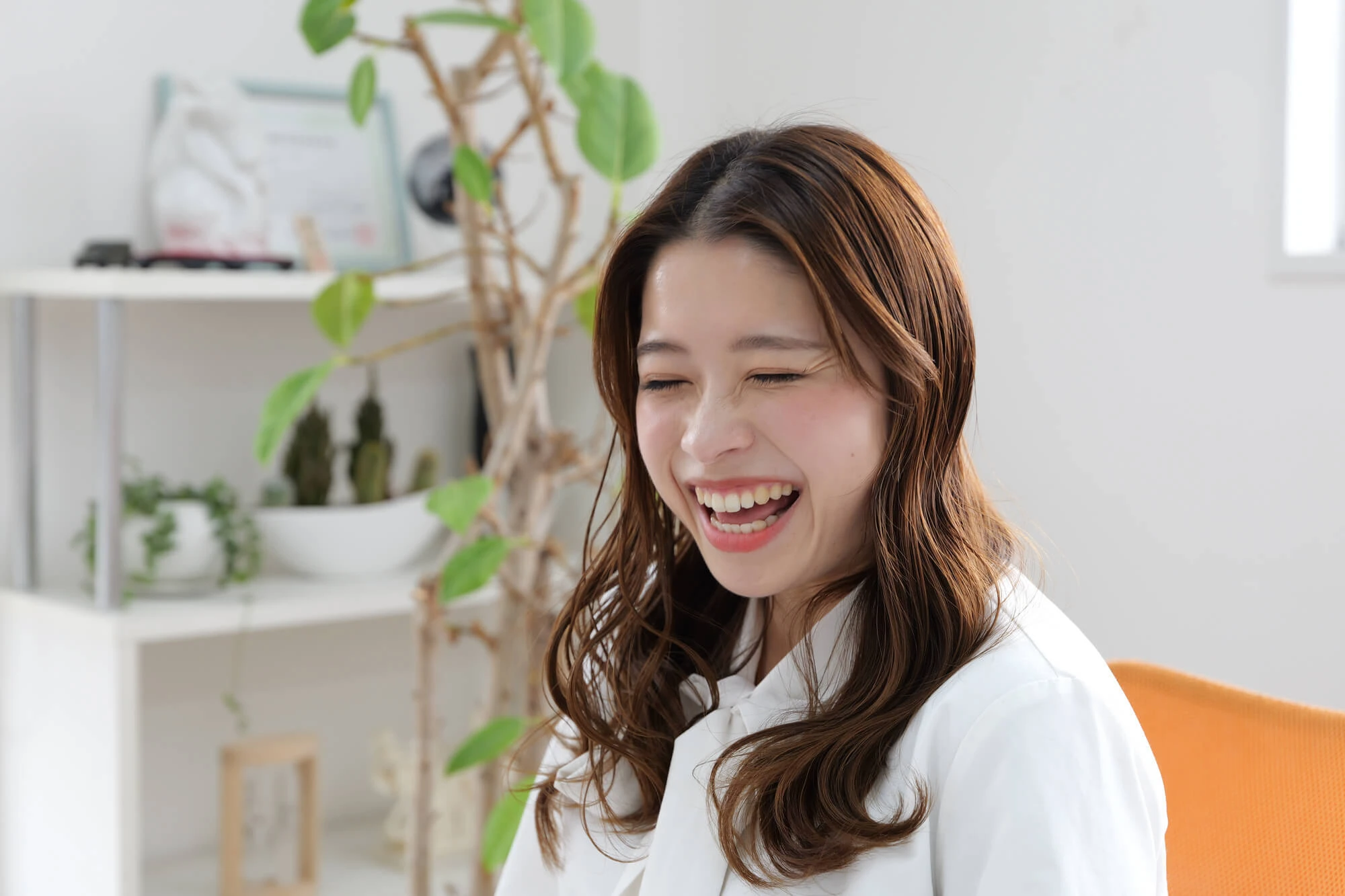 sample